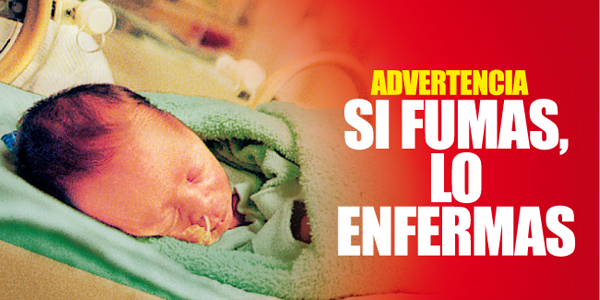Imagen foto_00000009
