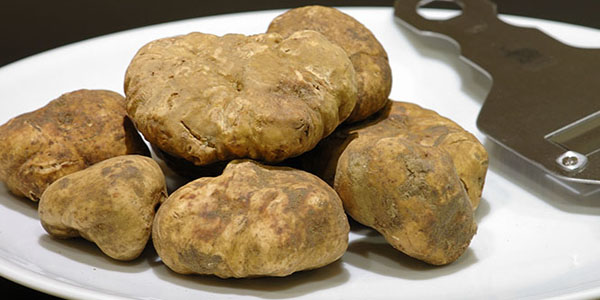 Chefs conmocionados ante precio de las trufas: US$3.200 la libra