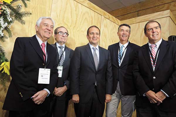 <p>Angelini dice que podrían activar el proyecto más importante de Celulosa Arauco</p>