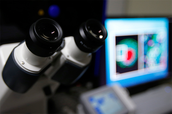 Nanotecnología, la quinta revolución industrial