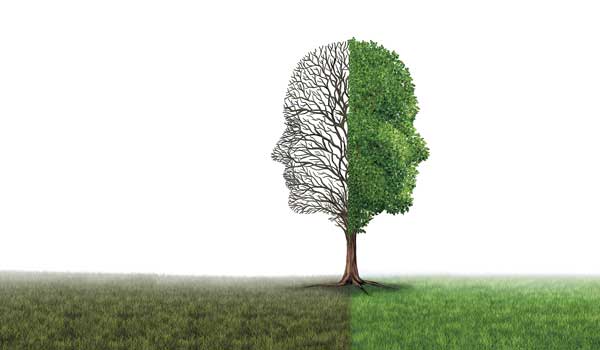 Psicología del cambio climático: las personas crean barreras para pasar de la preocupación a la acción