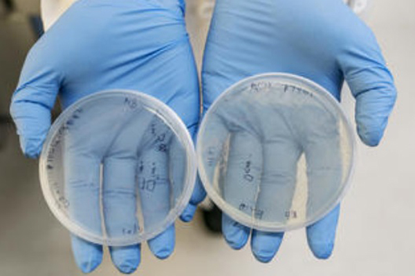 Empresas chinas buscan superbacterias que eliminen sus residuos
