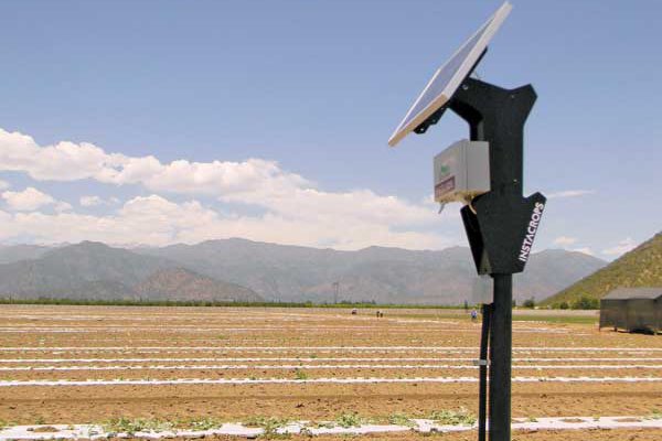 Agricultura 3.0: el data analytics se toma los campos