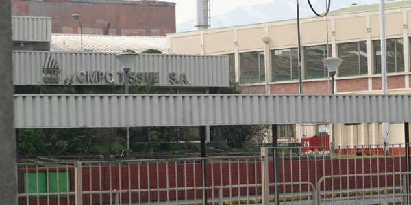 Acciones de CMPC alcanzan máximo histórico luego de sentencia del TDLC