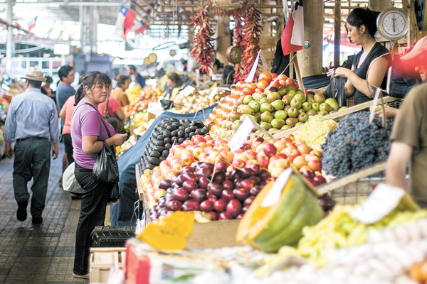 Sofofa propone 14 medidas para apostar a doblar exportaciones de alimentos a 2025