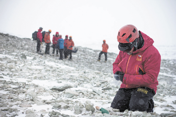 Chile atrae científicos del mundo para descubrir los secretos de la Antártica