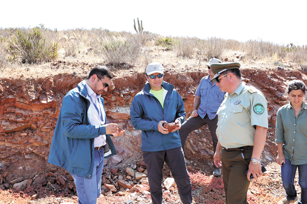 Tribunal Ambiental y propuesta para Dominga: “Va a ser flexible para que sea enriquecida”