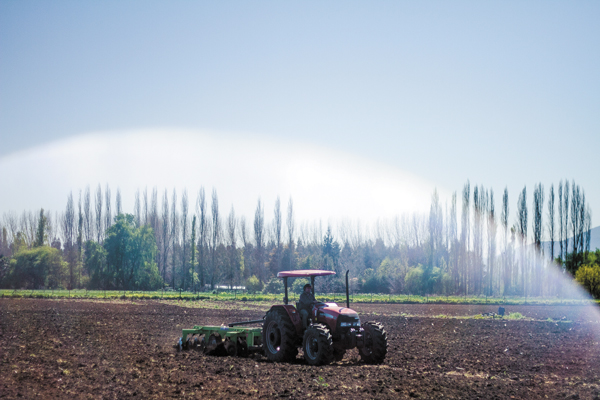 Agricultura y construcción lideran crecimiento de los créditos comerciales de la banca en regiones A