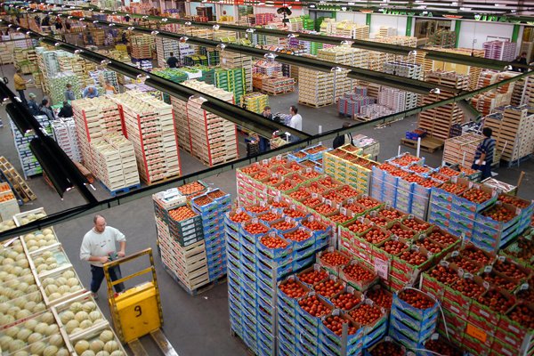 Sector frutícola prevé envíos récord de US$ 5.700 millones para la actual temporada
