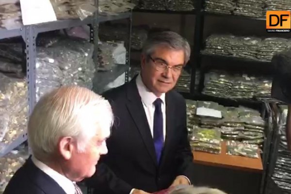 <p>Ahora en DF: Se retiraron 21 millones de monedas de $1 y $5</p>