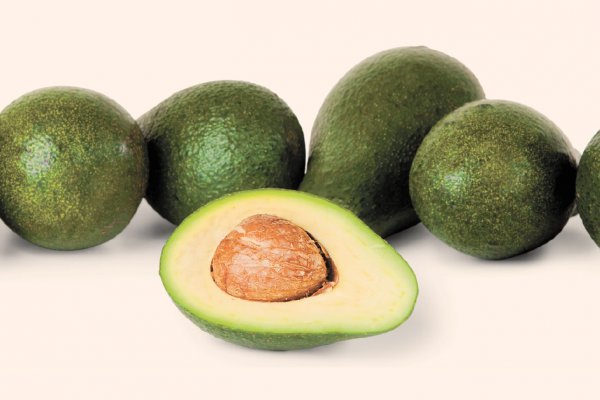 Sustentabilidad: el talón de Aquiles de la palta