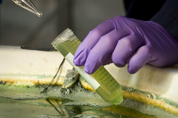 Chile instaura el día nacional de la Ciencia, la Tecnología, el Conocimiento y la Innovación en octubre