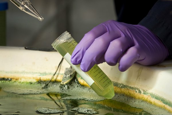 "Histórico": Congreso aprueba creación de Ministerio de Ciencia, Tecnología e Innovación