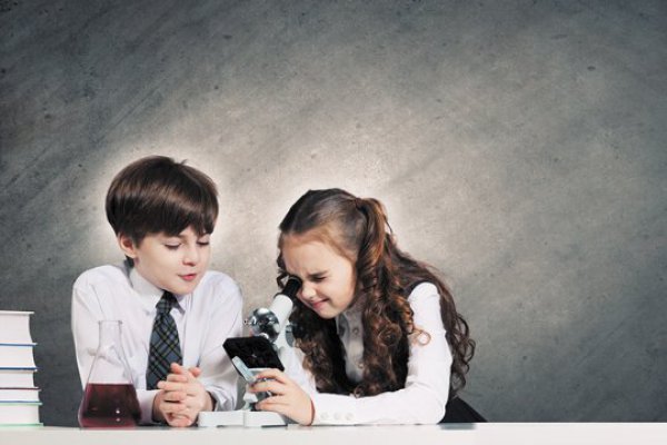 Siete pruebas de aprendizaje dejan al descubierto brechas de género en la educación chilena