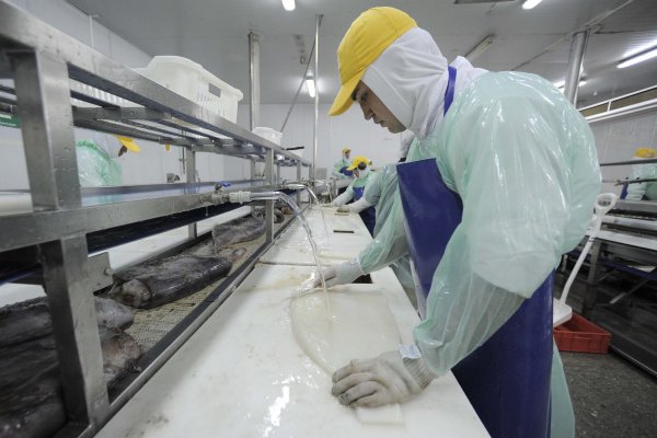 Asociación de Industriales Pesqueros en picada contra el proyecto que regula la captura de la jibia con línea de mano