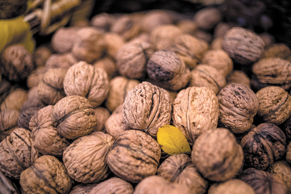 Eco de guerra comercial: Chile envía a India nota diplomática por alza de aranceles a nueces