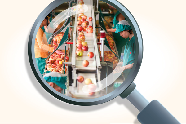 Etiquetado de desempeño ambiental: los próximos sellos en los alimentos