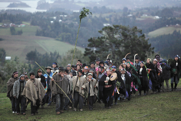 Sector privado asume reto de reunir a mapuches con forestales en La Araucanía