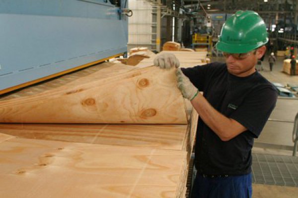 $336 millones de dólares coloca CMPC en el mercado de bonos