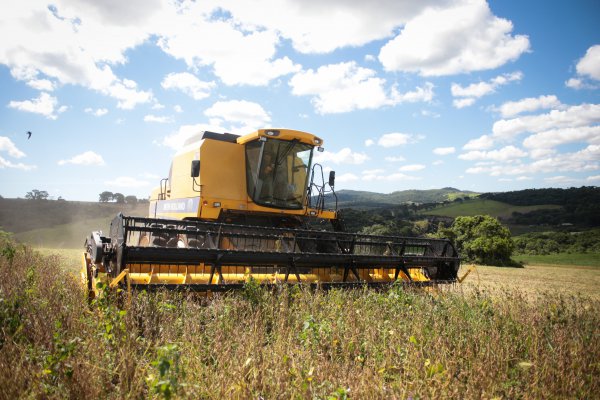 Casa Blanca anuncia plan de ayuda por US$ 12 mil millones para agricultores afectados por guerra comercial