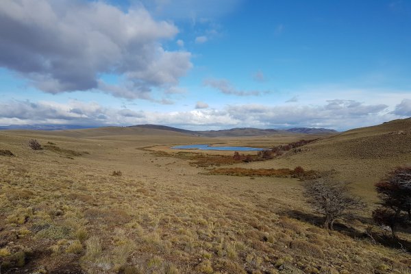 Familia Torres llega a Aysén para compensar huella de carbono