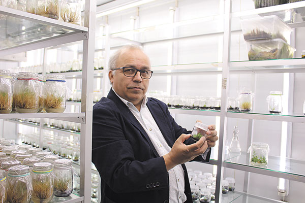 La labor del Cedenna: soluciones a escala “nano” made in Chile
