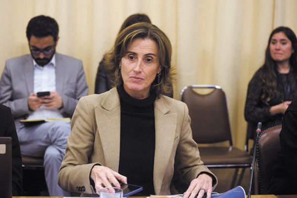 Ministra Cubillos defiende que participación ciudadana no sea vinculante