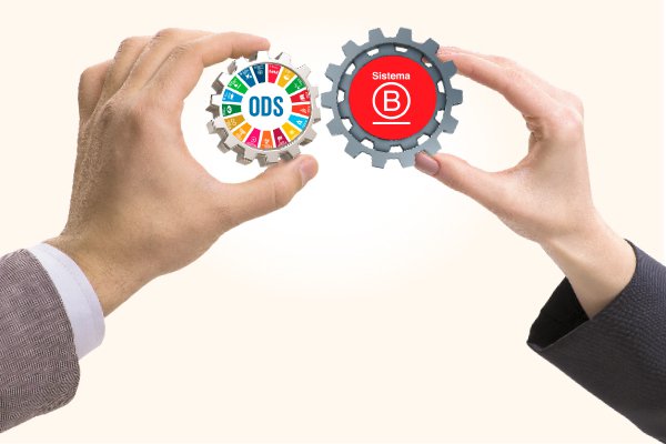 ONU toma evaluación de Sistema B para que las empresas midan los Objetivos de Desarrollo Sostenible