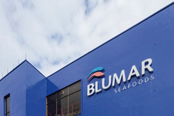 Menores costos de producción de salmón impulsan resultados de Blumar
