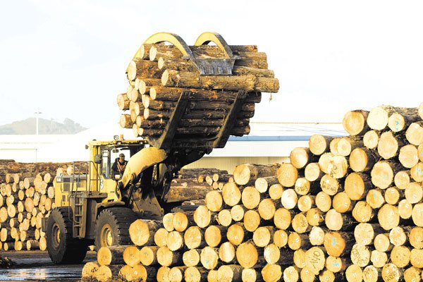 La revolución de los bosques
