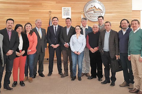 Moreno llama a apoyar la idea de legislar el proyecto tributario