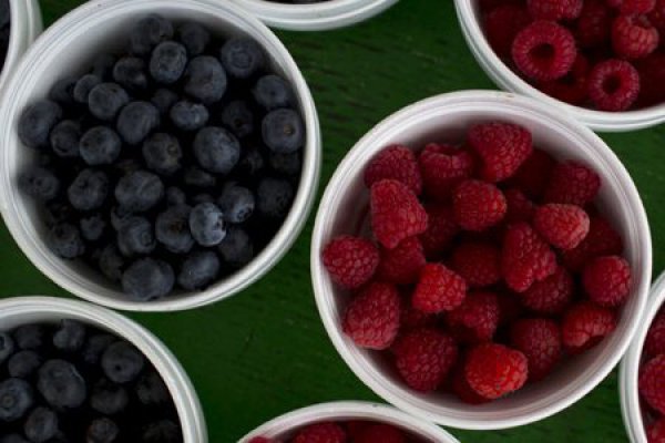 Ingresos de Hortifrut suben en primer semestre por mayores volúmenes de venta