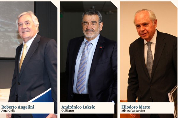 Ganancias de matrices de Angelini, Luksic y Matte se disparan 218%