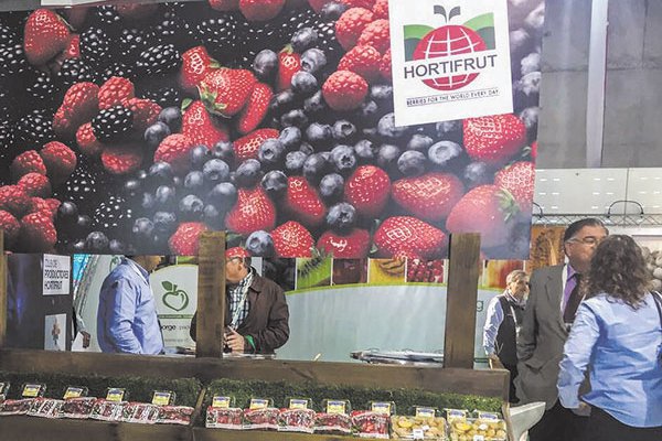 5,8% de Hortifrut sale a la rueda mañana con precio mínimo de $ 2.009