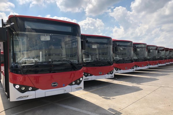 Los nuevos colores que tendrán los buses del Transantiago