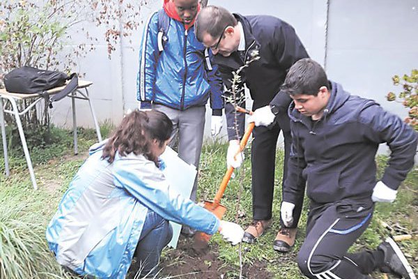 Más de 20 mil vecinos han participado del Plan de Relacionamiento de CGE