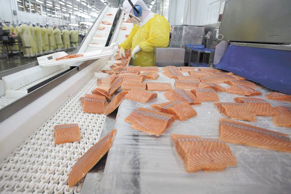 FNE autoriza a Agrosuper a comprar Salmones Friosur