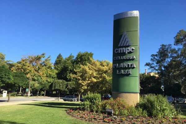 CMPC tendrá nuevo gerente general en filial de Celulosa, Forestal y Maderas