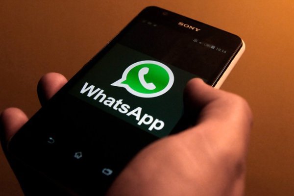 WhatsApp contra las "fake news" en Brasil: Cerró 100 mil cuentas por las elecciones (hay de Bolsonaro y Dilma)