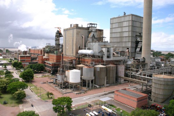 La millonaria inversión que tendría una futura planta de CMPC en Brasil