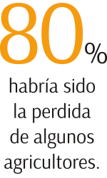 Imagen foto_00000006