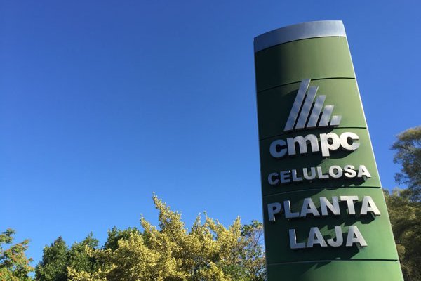 Ganancias de CMPC alcanzan los US$ 390 millones