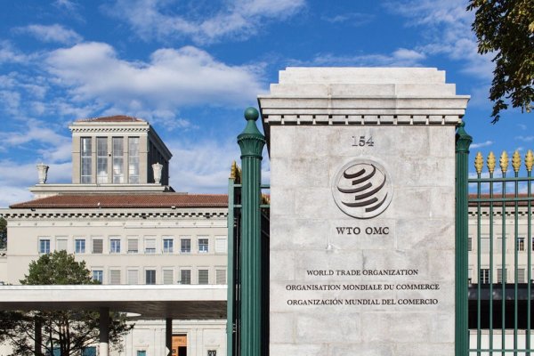 OMC advierte sobre aumento de restricciones comerciales del G20