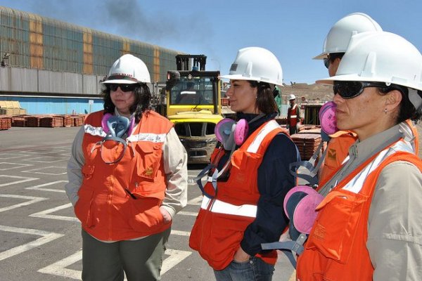 <p>UDLA crea beca para apoyar el desarrollo profesional de la mujer en la minería</p>