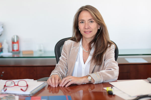 Gobierno analiza camino a seguir ante retraso en línea eléctrica de InterChile