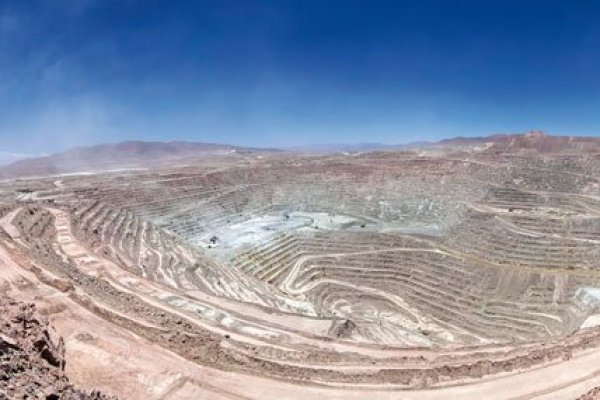 <p>Las empresas interesadas en la llamada "operación eléctrica de 2019" a cargo de BHP</p>