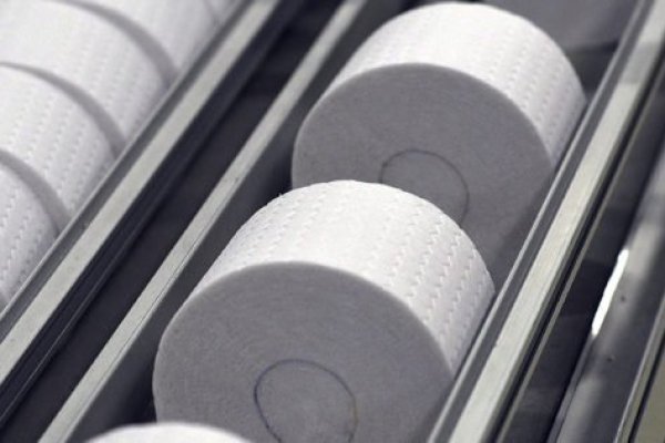 Nace Softys: CMPC unifica nombre de su filial tissue en los ocho países donde opera