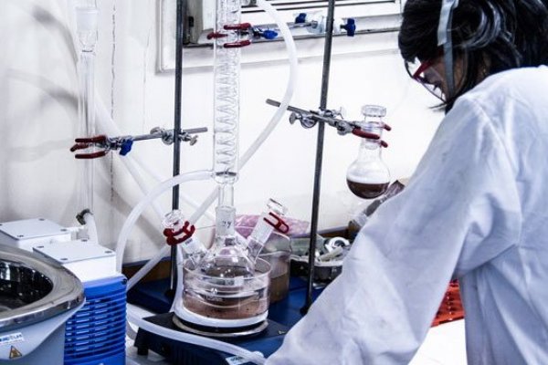 Firma chilena crea nanoburbujas para mejorar alimentos de cara a ley de etiquetado