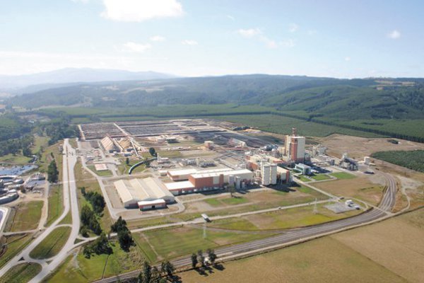 Proyecto del grupo Angelini dispara monto de inversión esperada en la industria y en forestal para 2022