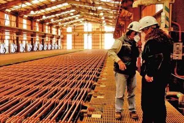 <p>Anglo American alcanza mayor producción de cobre en cinco años durante cuarto trimestre</p>